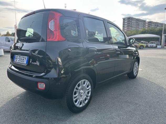 FIAT Panda Panda 1.0 FireFly S&S Hybrid - Foto 7