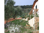 Villa in vendita a Pietrasanta