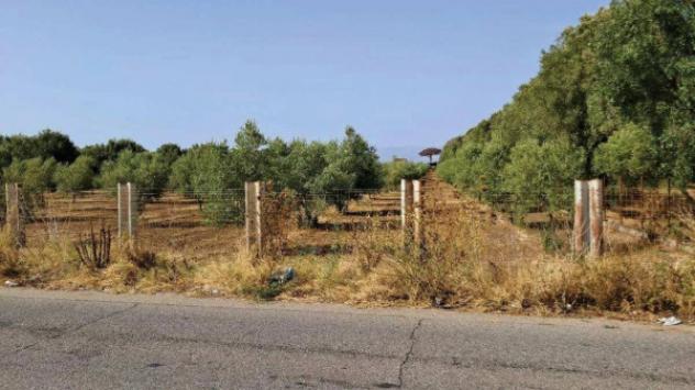 Immobile in asta di 277110 m² in vendita a Gioia Tauro - Foto 13
