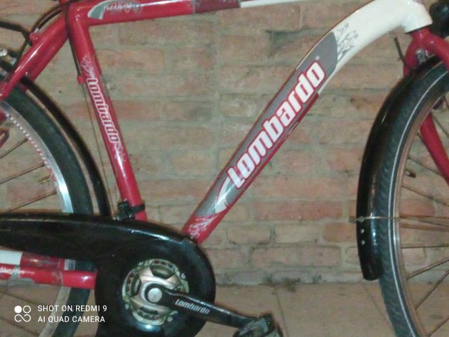 Bicicletta - Foto 3