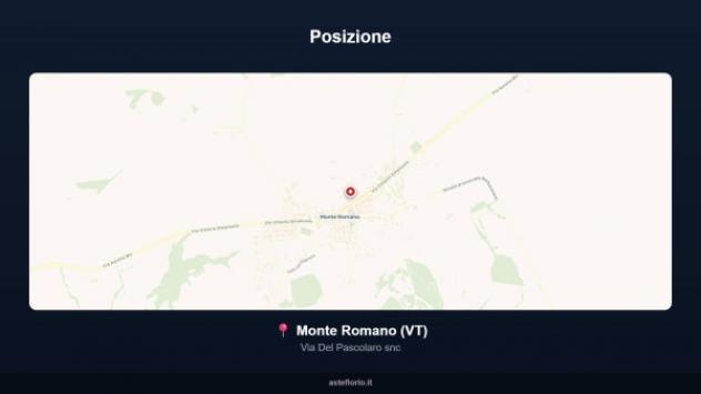Immobile in asta di 29 m² in vendita a Monte Romano - Foto 10