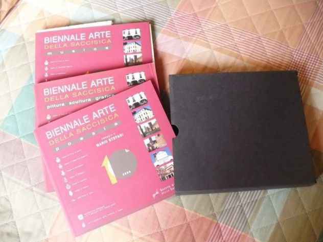 Biennale d'arte della Saccisica-