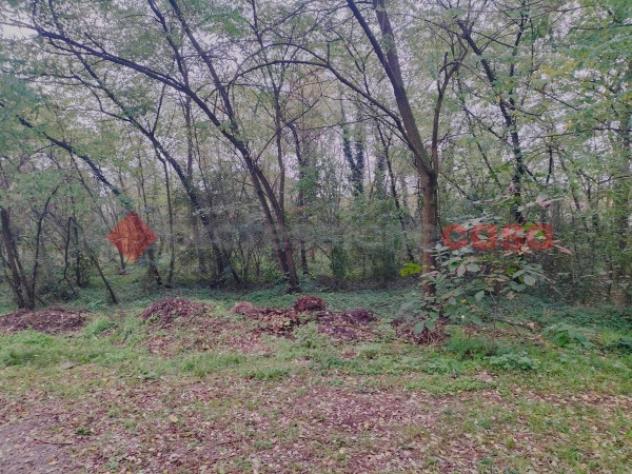 Terreno di 1200 m² in vendita a Cressa - Foto 5
