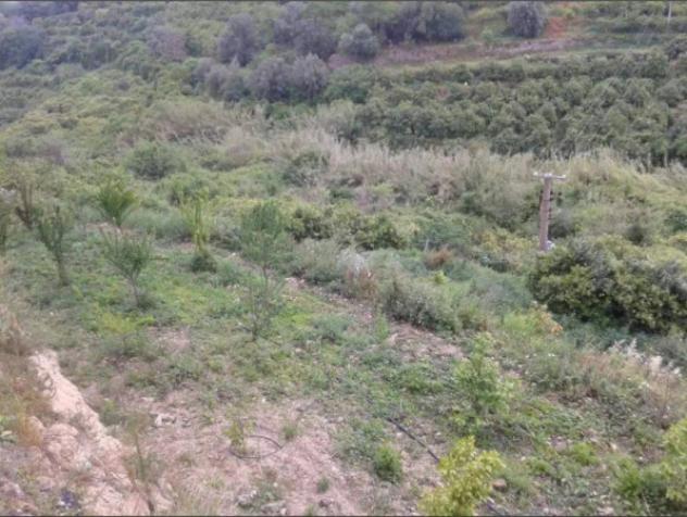 Immobile in asta di 42847 m² in vendita a Militello in Val di Catania - Foto 3