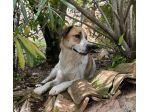 Sissotta