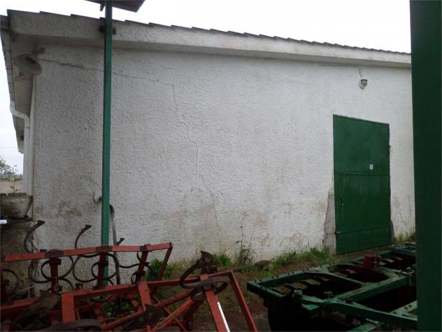 V000388 - TINCHI - Foto 3