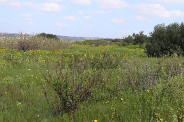 Terreno in vendita a Vittoria - Foto 7