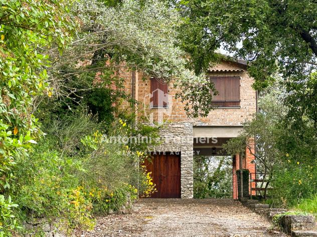 Villa in vendita a Paciano - Foto 4