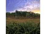 Agriturismo Cascina Rabalot