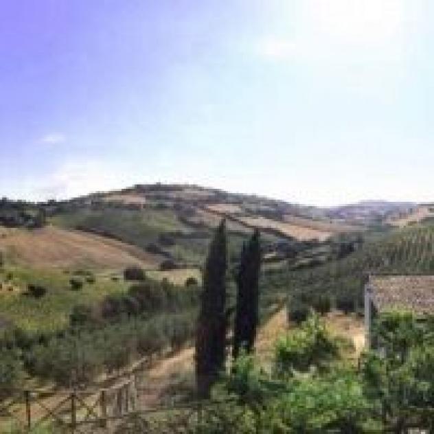 Agriturismo Marche Life - Foto 3