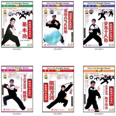 Kung fu Shaolin CHOY LI FUT Chen Yongfa