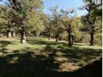 GIFFONI VALLE PIANA LOC. SAN MIELE Terreno mq 32.048