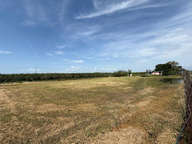 TERRENO AGRICOLO di 2134 mq (GROSSETO - Grosseto) rif. TE.43 - Foto 6
