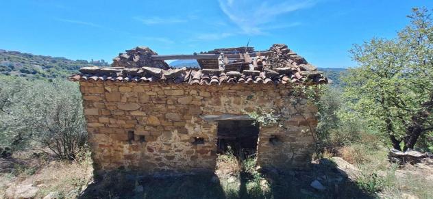 Agricolo in Via Nazionale - Foto 10