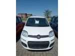 FIAT Panda 1.0 FireFly 70cv S&S Hybrid
