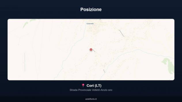 Immobile in asta di 1672 m² in vendita a Cori - Foto 9