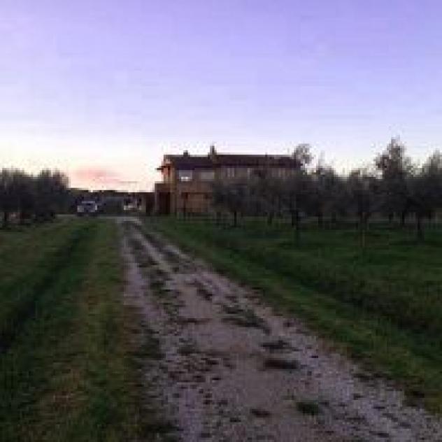 Sibolla Holidays - Foto 4