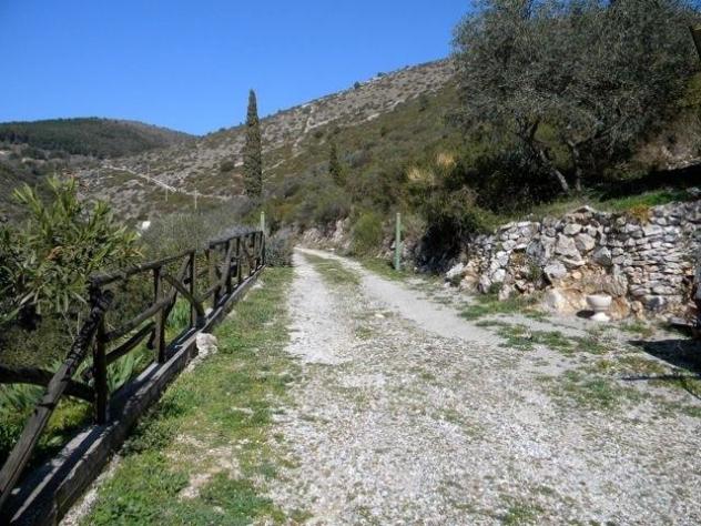 Rustico in vendita a San Giuliano Terme 130 mq Rif: 1040033 - Foto 5