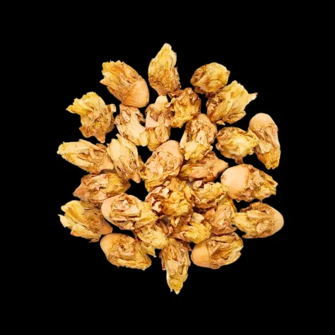 Fiori di ficodindia (anno 2026) - Foto 3