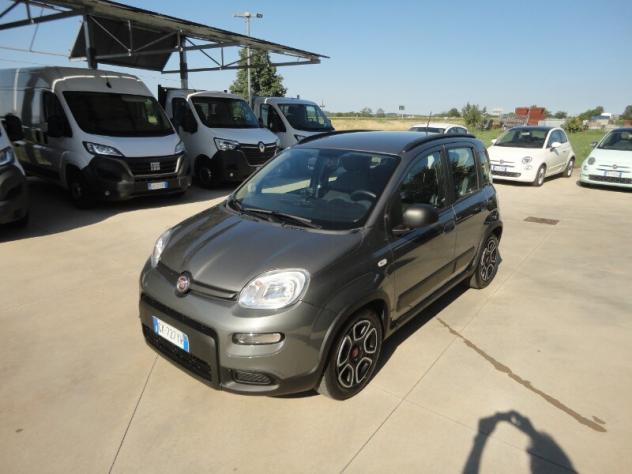 FIAT Panda 3ª serie Panda 1.0 FireFly S&S Hybrid City Life - Foto 2