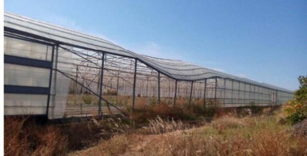 Immobile in asta di 6310 m² in vendita a Bernalda - Foto 12