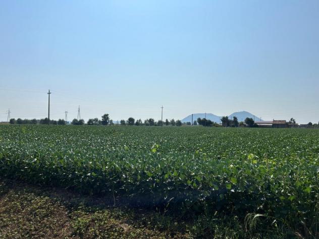 Seminativo in vendita a Castegnero - Foto 20