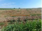 TERRENO AGRICOLO CON POZZO