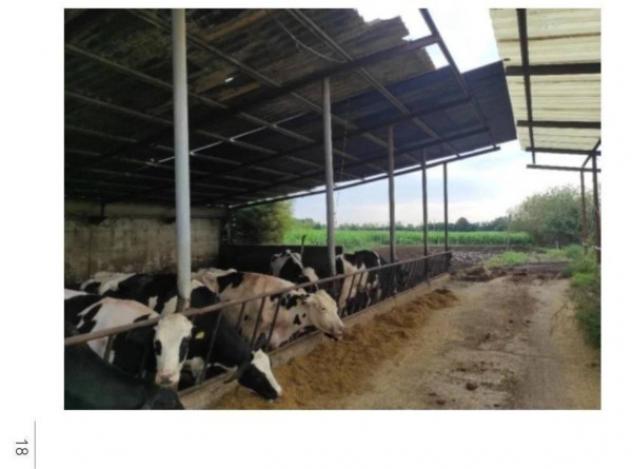 Immobile in asta di 21383 m² con più di 5 locali in vendita a Istrana - Foto 16