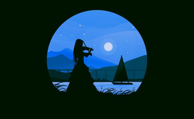 Violinista professionista a Desenzano del Garda