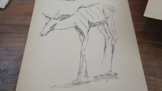 stampe ERCOLE BRINI - Foto 4