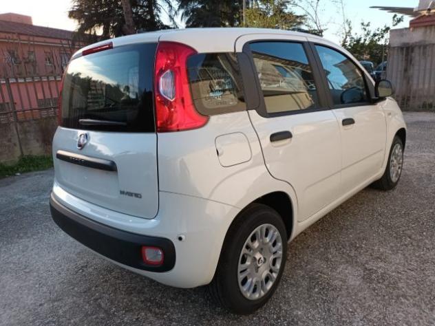 FIAT Panda 1000 HYBRID PANDINA ICON 70CV 5P PACKCITY ITALIA rif. 23999345 - Foto 4