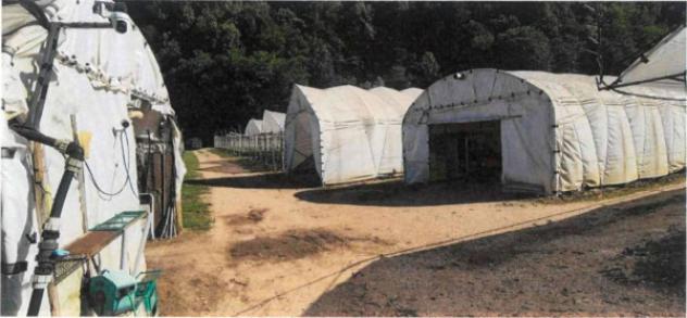 Immobile in asta di 30279 m² in vendita a Borgo Valsugana - Foto 7