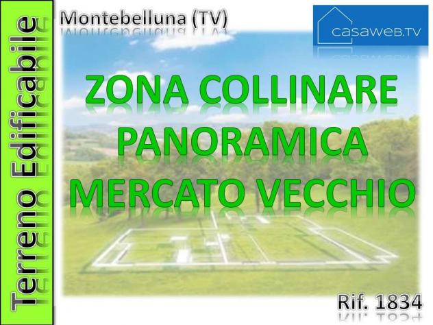 1834 - Terreno edif. 2500 mq a Montebelluna (TV)Rif. 1834 - Foto 3