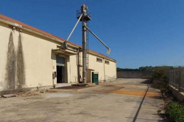 Immobile in asta di 1508 m² in vendita a Sanluri - Foto 16