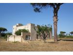 Masseria storica del 1800