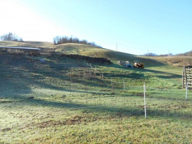 Immobile in asta di 12503 m² in vendita a Viano - Foto 6