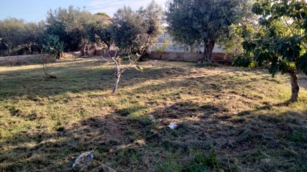 Giardinaggio - Foto 2