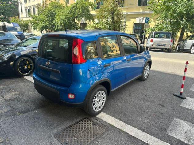 FIAT Panda 1.0 FireFly Hybrid -Pandina Nuovo Mod 2025 rif. 23804249 - Foto 8