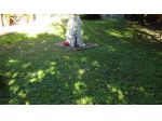 Villa in vendita a Cascina 340 mq  Rif: 1432803