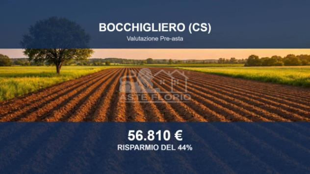 Immobile in asta di 119110 m² in vendita a Bocchigliero