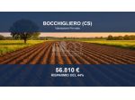 Immobile in asta di 119110 m² in vendita a Bocchigliero