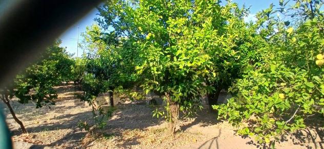 Terreno in vendita a Calatabiano, San Marco - Foto 15