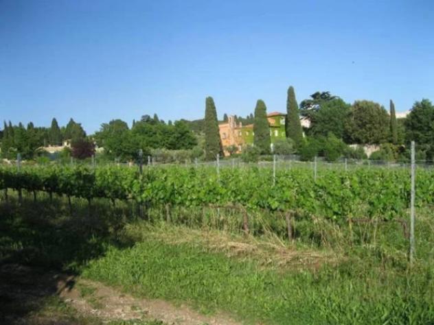 Immobile in asta di 151463 m² in vendita a Grottaferrata - Foto 13