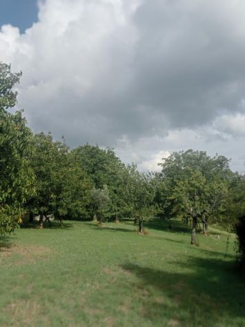 AMPIO TERRENO DI 8.000 MQ CON CASOLARE DA RISTRUTTURARE - Foto 6