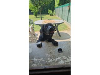 OLIVER, 5 MESI, HA PERSO UN'OCCHIETTO MA NON LA SUA VOGLIA DI AMARE.