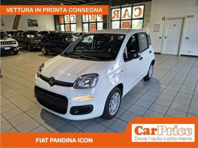 FIAT Pandina 1.0 FireFly 65CV Hybrid Icon (5 Posti) rif. 23975985
