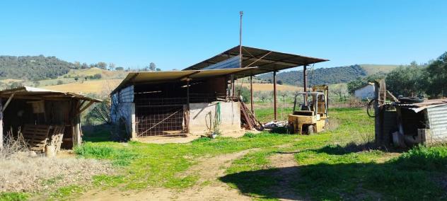 Casa singola in vendita a Cupi - Magliano in Toscana 250 mq Rif: 1245233 - Foto 4