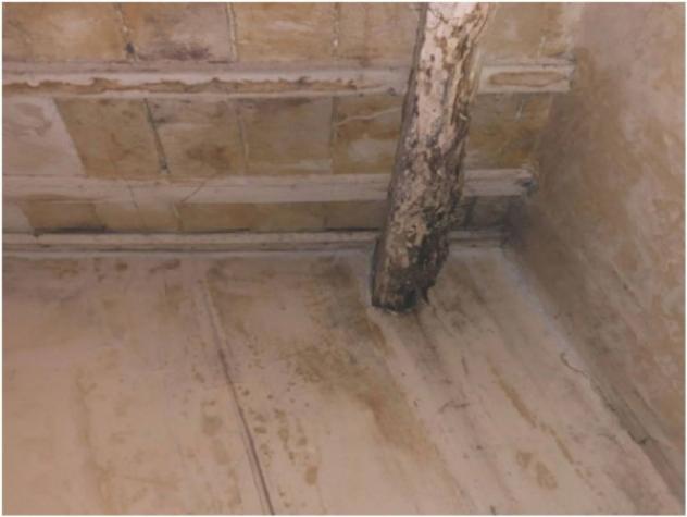 Immobile in asta di 247 m² in vendita a Nocciano - Foto 17