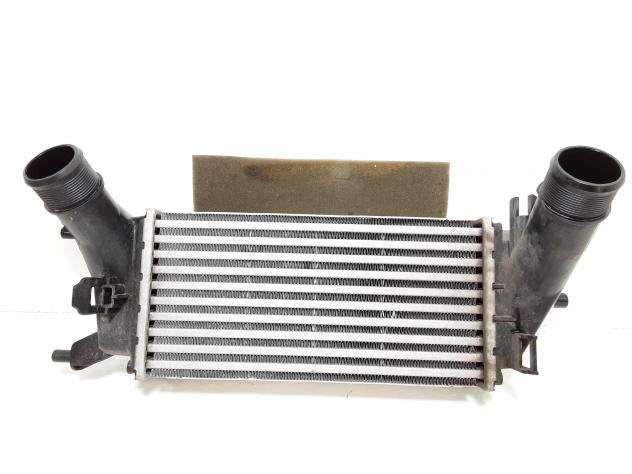 INTERCOOLER FORD EcoSport Serie H1BG6K775AC SFJL Benzina 1000 (12)