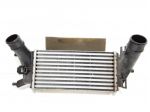 INTERCOOLER FORD EcoSport Serie H1BG6K775AC SFJL Benzina 1000 (12)